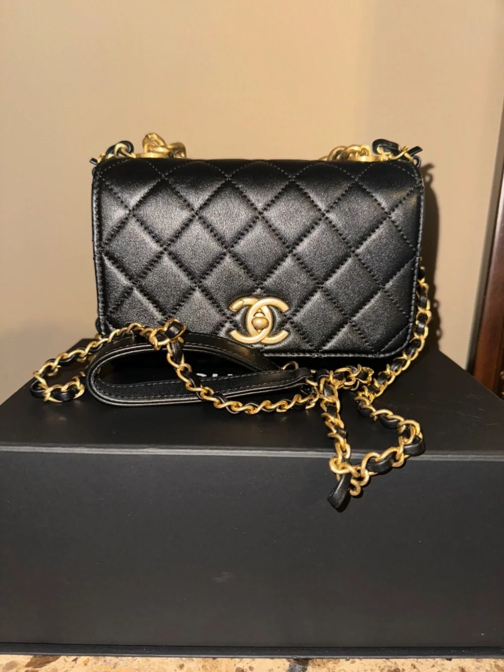 Chanel Black Quilted Mini Shoulder Bag with Gold Chain